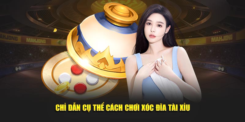 Chỉ dẫn cụ thể cách chơi xóc đĩa tài xỉu